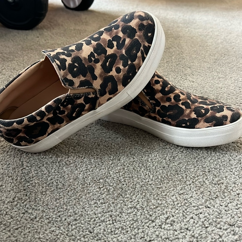 Steve Madden Cheetah Gillis Canvas Shoe